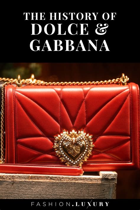 dolce and gabbana facts.